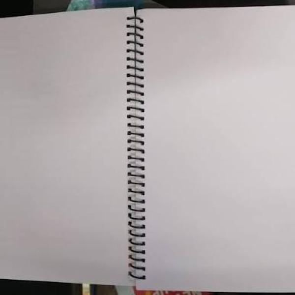 Notebook A4 size 300/pages spiral