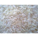 sacha sauda rice